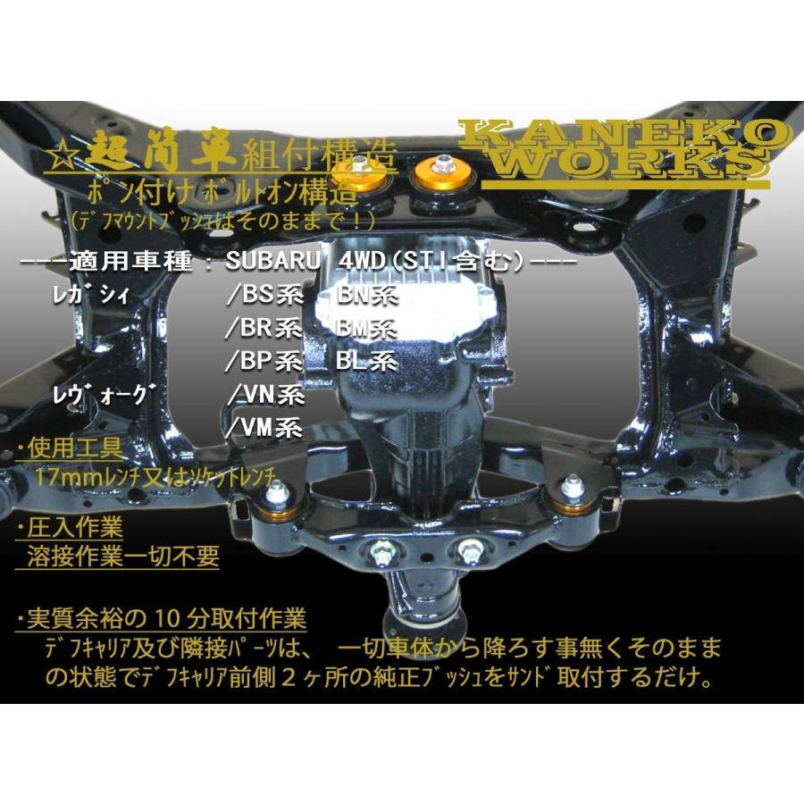 車 ツアラー系 KANEKO WORKSデフメンバーリジットカラー