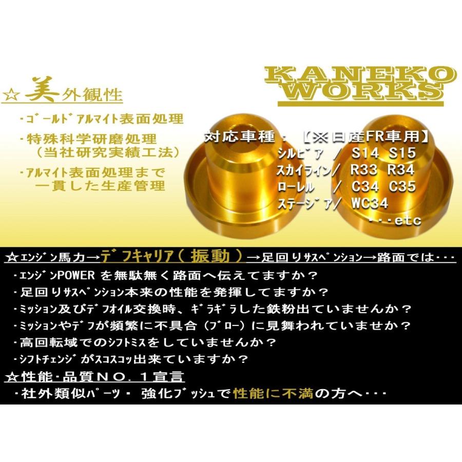 ツアラー系　KANEKO WORKSデフメンバーリジットカラー シルビアスカイライン_S14S15R33R34C34C35WC34_KANEKOWORKSデフ