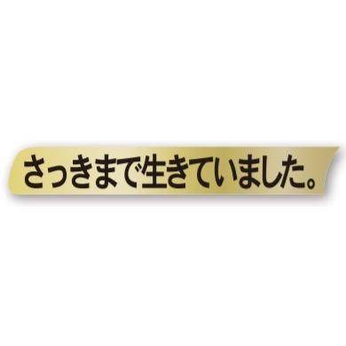 TK-142 さっきまで生きていました。 シール 500枚入 : DECOLmono Yahoo