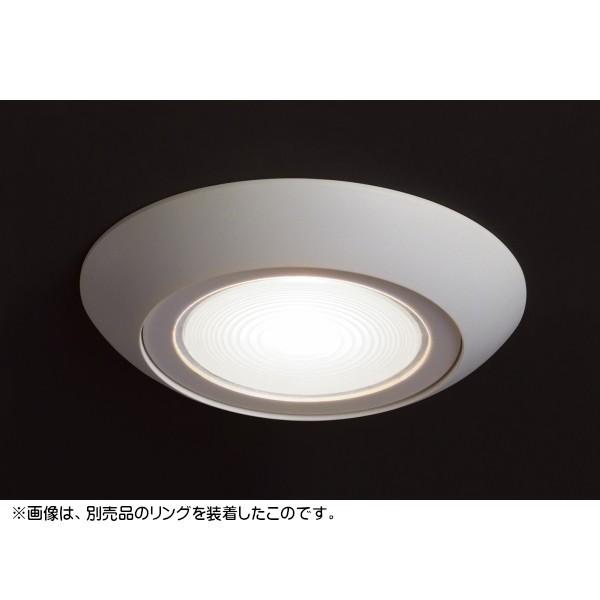 スガツネ LEDライト LAMP SL-GX531型 着脱可能タイプ 昼白色/電球色
