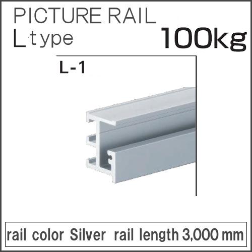 コレダーライン タキヤ L-1 ピクチャーレール シルバー レール長さ