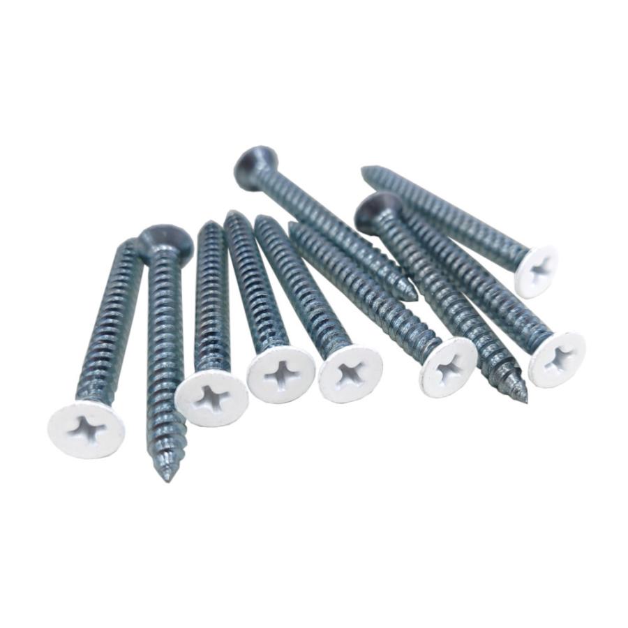 皿タッピングビス 4mm×50mm ユニクロ 白塗装 1袋10本入り : カネマサ