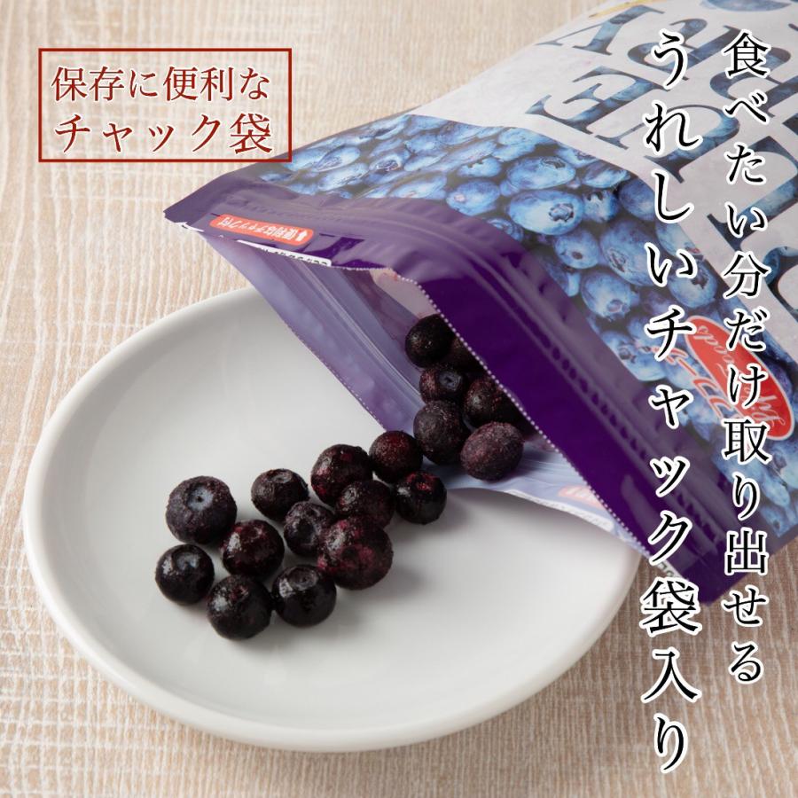 無添加 カナダ産 冷凍 ブルーベリー 500g 中粒 Lサイズ 取り出し 無添加 カナダ産 冷凍 ブルーベリー 500g 中粒 Lサイズ 取り出し