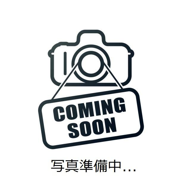 山形県　Wagauji　1st　Flash　無濾過生原酒　720ml | 