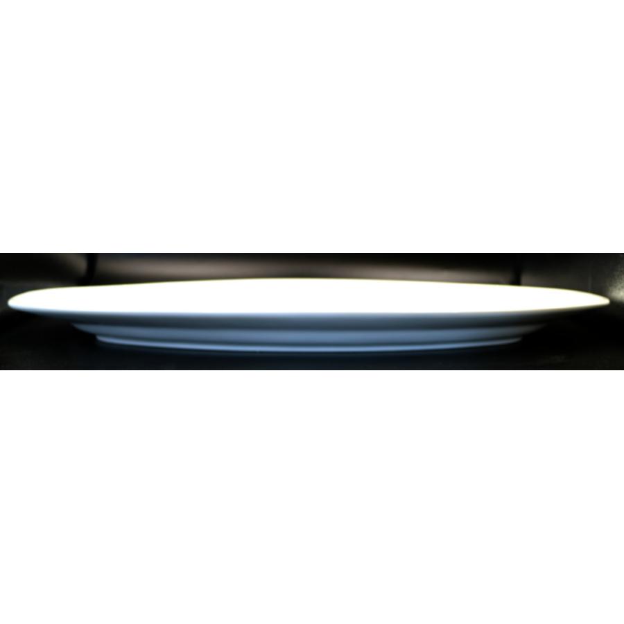 白フィッシュプレート小　42.3×18.3×3.3(cm)　日本製　美濃焼　業務用食器　白磁　白磁のプレート　ビュッフェの皿　大型プレート｜kaneroku｜04