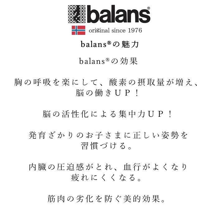 バランスチェア balans chair N5070 正規商品 concept by ノルウェー