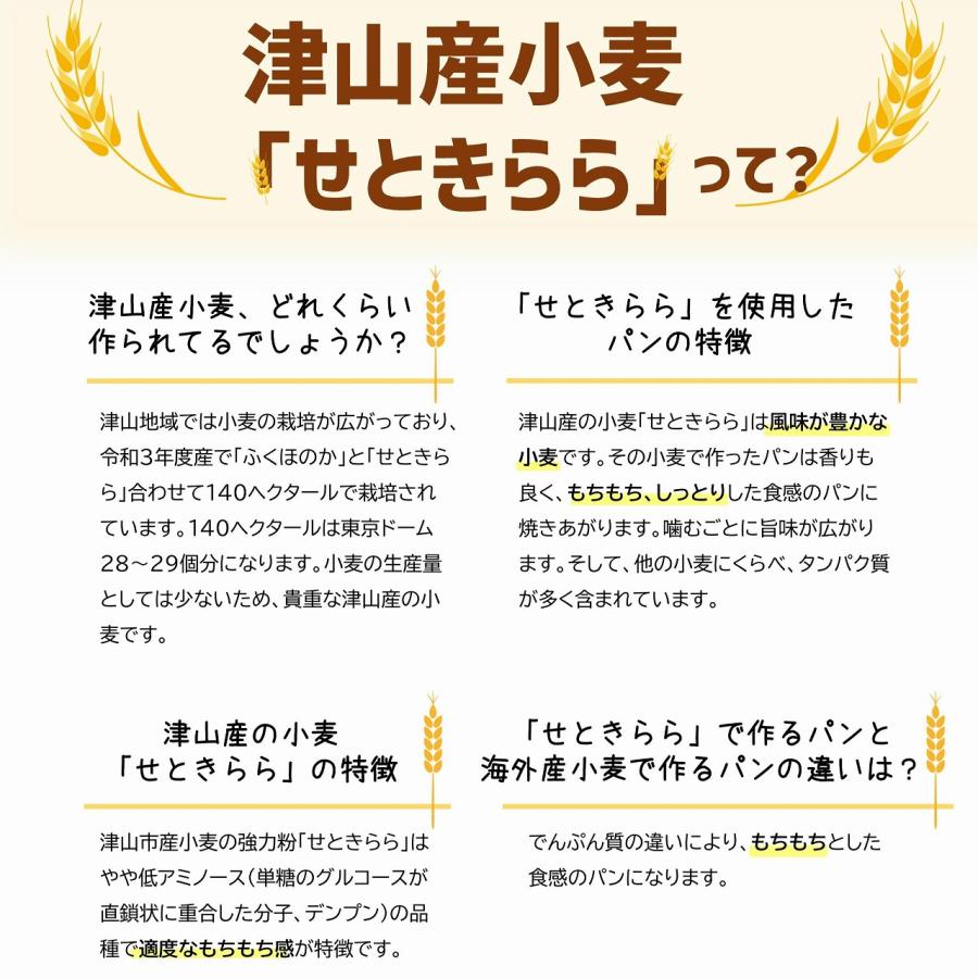 製パン用粉「せときらら（強力粉）」25kg |  | 01