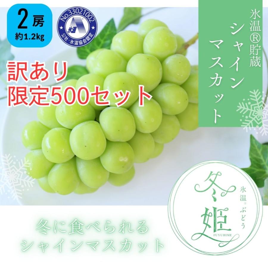 限定500セット】訳あり氷温加貯蔵シャインマスカット冬姫2房 家庭用