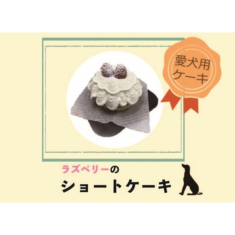 21人気no 1の ペット用スイーツ ショートケーキ 愛犬誕生日ケーキ 愛犬用おやつ 愛犬と記念日 ペット用シンプルケーキ ケーキ屋さんの 手作りケーキ Monconseillerweb Fr
