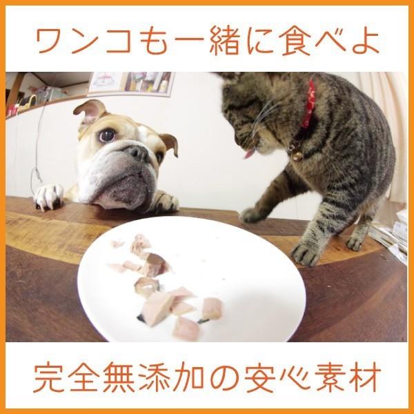 お試し 3袋 ♯ねこ様用 フード カツオ 無添加 レトルト お得 小分け 