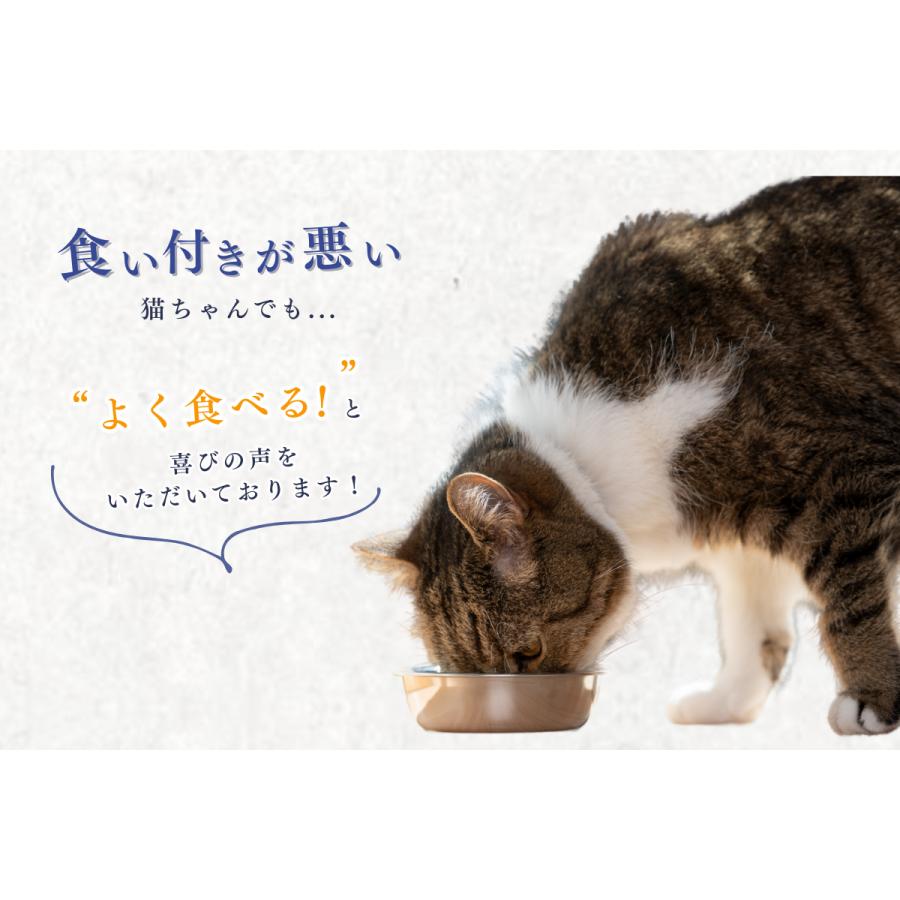 キャットフード 猫 子猫 シニア猫 #ねこ様用  3袋入 お試し グレインフリー ウェット ウェットフード 減量 おやつ 国産 カツオ 無添加 詰め合わせ レトルト |  | 04