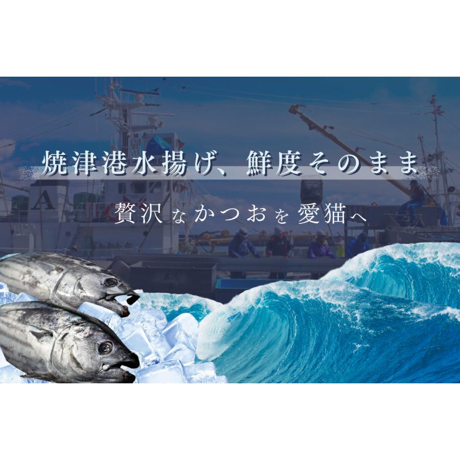 キャットフード 猫 子猫 シニア猫 #ねこ様用  3袋入 お試し グレインフリー ウェット ウェットフード 減量 おやつ 国産 カツオ 無添加 詰め合わせ レトルト |  | 08