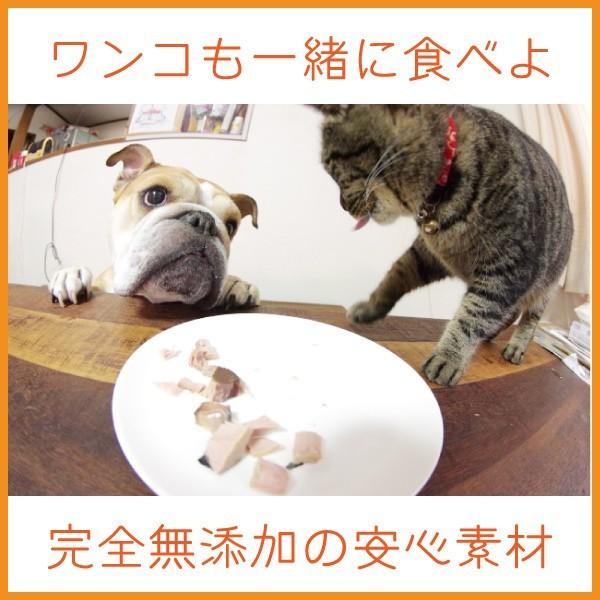 キャットフード 猫 子猫 シニア猫 #ねこ様用 70g 10袋 スモーク キャットフード 猫 子猫 シニア猫 #ねこ様用 70g 10袋 スモーク
