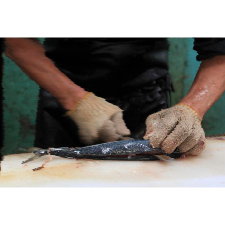 さば煮 こうじ味噌煮 常温 半身約1g Sbm01 焼津カネヨ 通販 Yahoo ショッピング