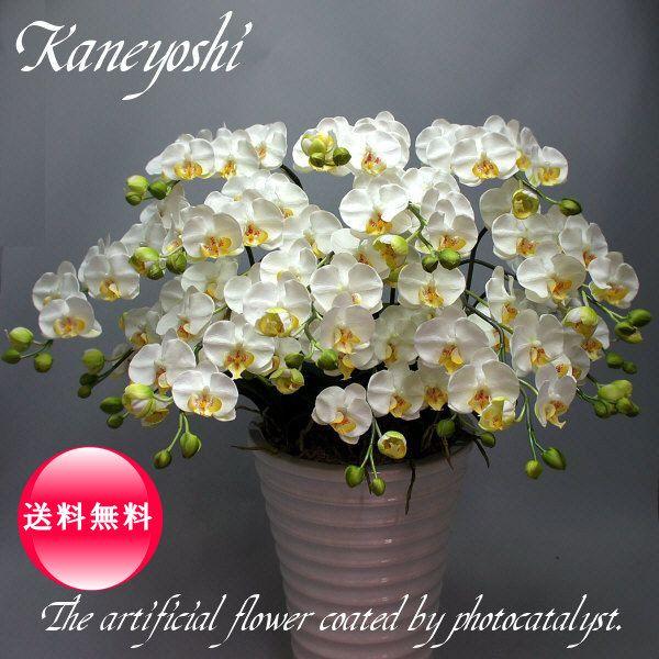 送料無料 お祝い 花 造花 ギフト 記念品 出産 誕生日 結婚式 発表会 新築 開店 祝 光触媒 胡蝶蘭 小輪 花 ガーデニング ホワイトｂ １0本立 ホワイトｂ