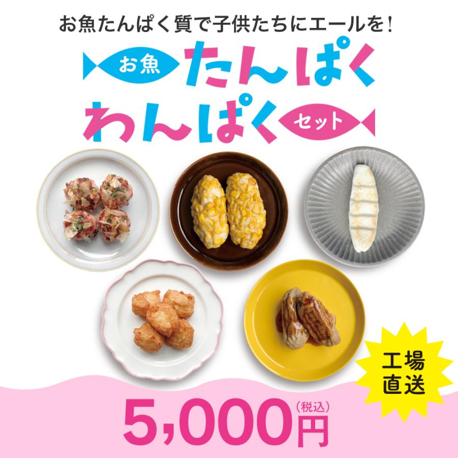 お魚たんぱくわんぱくセット 5種 全9袋 冷凍便 お子様 子供 低学年