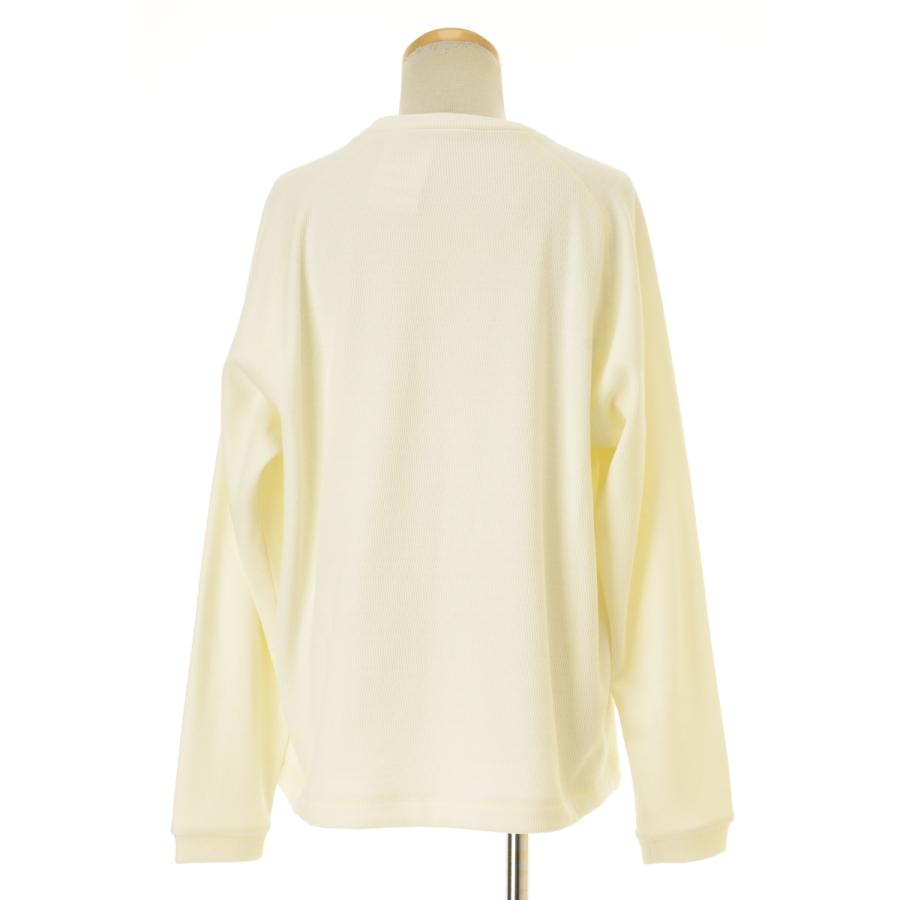 DESCENTE（デサント） ALLTERRAIN 81 DO4FFL08M BOMBER L/S CREW 長袖 