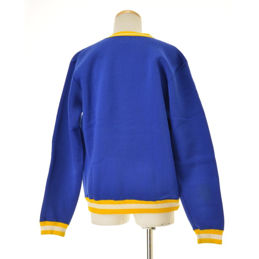 Champion（チャンピオン） 70s プロダクツタグ MOELLER Vネック 長袖