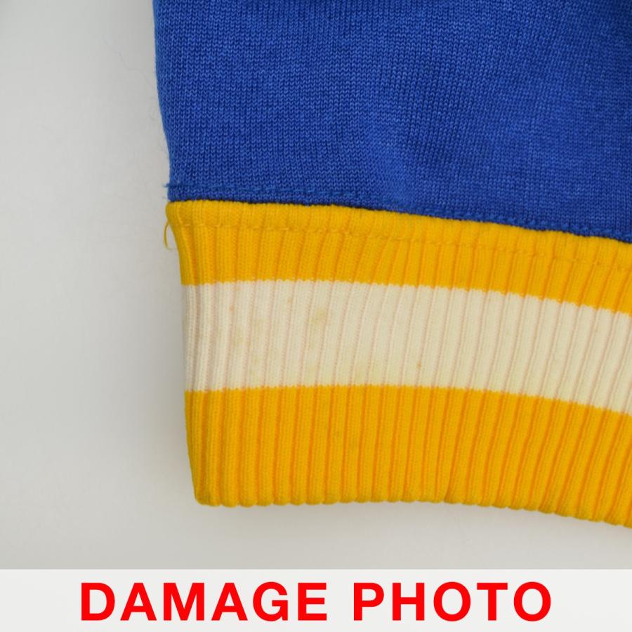 Champion（チャンピオン） 70s プロダクツタグ MOELLER Vネック 長袖