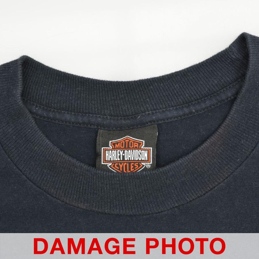 Harley Davidson（ハーレー・ダビッドソン） 00s BATTLEFIELD 両面