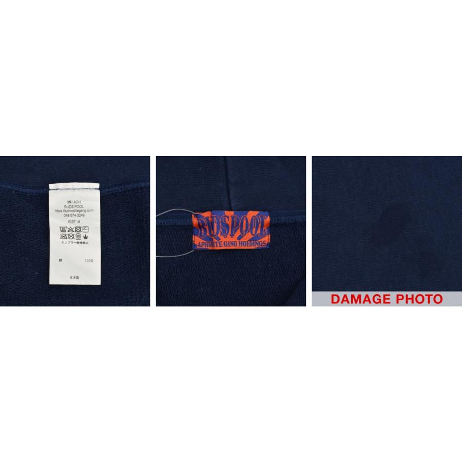 BUDSPOOL / バッズプール AGH LOGO HEAVY WEIGHT HOODED SWEAT