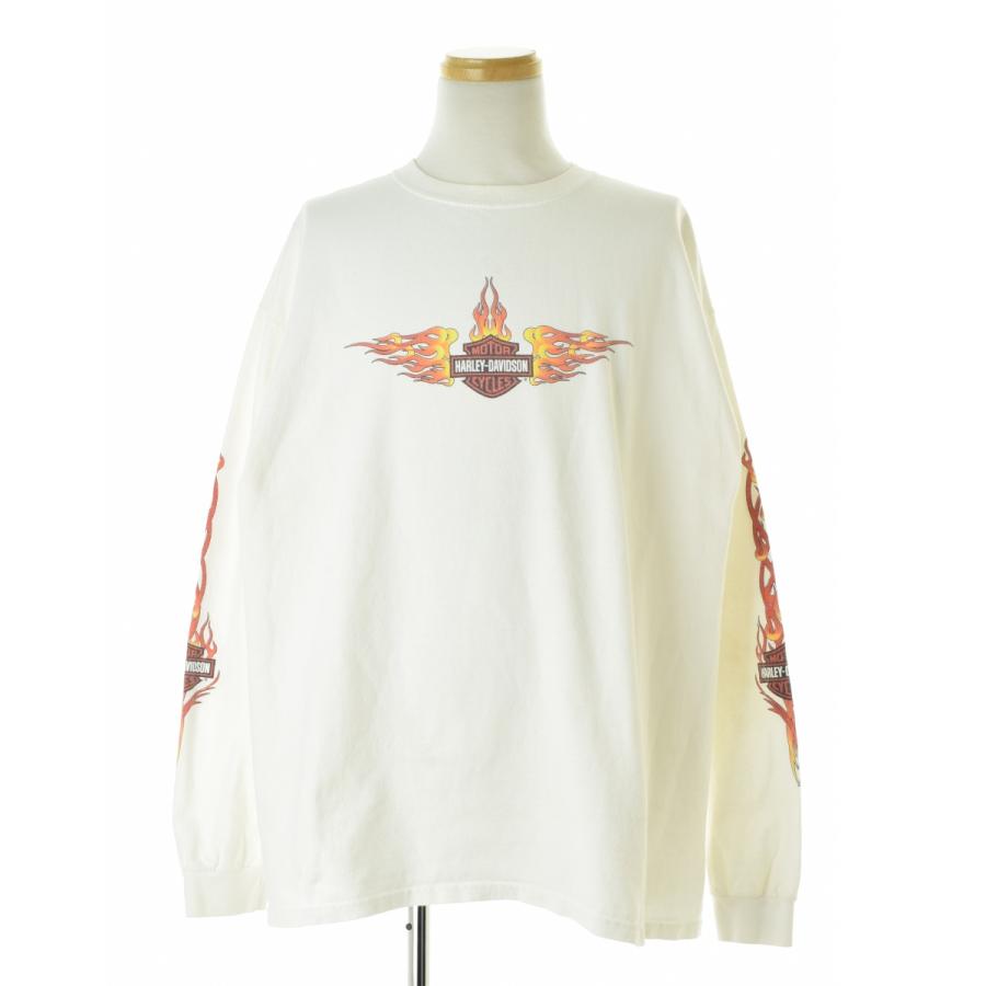 Harley Davidson 長袖Tシャツ ロンTファイアパターン フレイム Harley Davidson（ハーレー・ダビッドソン） フレイムスリーブ