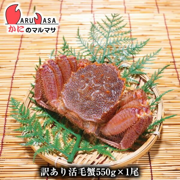 北海道産 訳あり活毛がに 550g 1尾 わけあり 訳あり Sonicacts Com