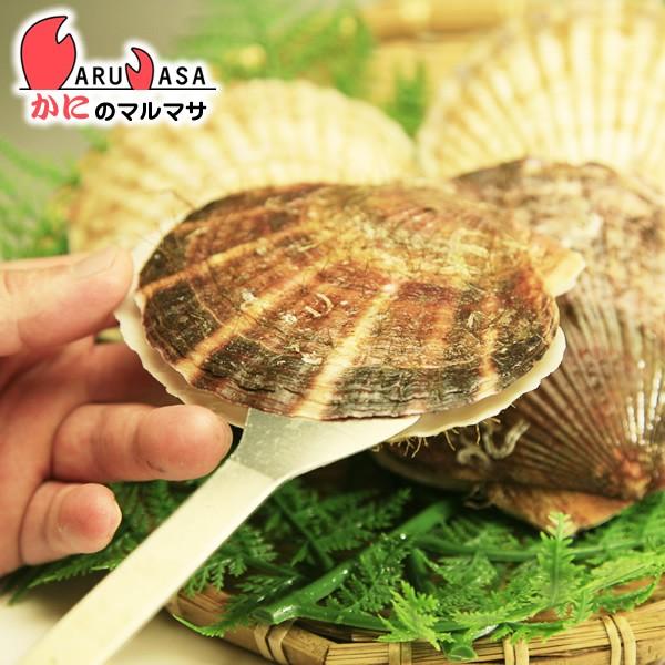 ゆうパケット限定 送料込 ホタテの殻あけ専用 貝ベラ ほたて貝専用むきヘラ10本セット E M かにのマルマサ北海道 通販 Yahoo ショッピング