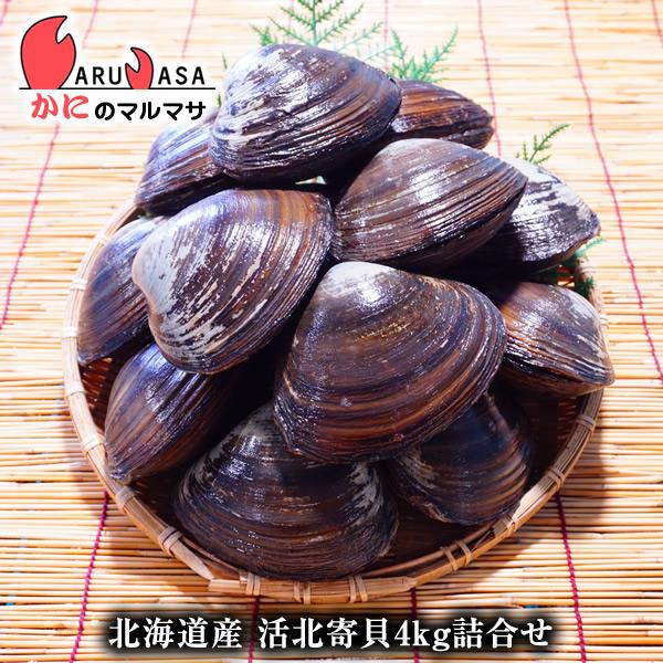 活ホッキ貝 4kg詰め（12〜16個入）翌日便対応 北海道産 北寄貝 ほっき貝 活貝 海産物 道産品 厳選素材 プレゼント 贈り物 母の日 ...