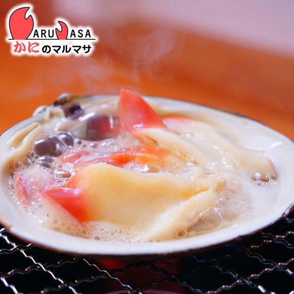 鬼*管様 貝まとめ売り