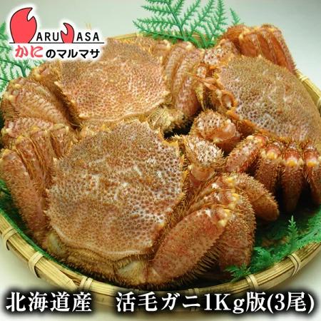 安心のメーカー直販 年末年始お届け可能 活毛がに 1kg詰め 3尾セット 北海道産 極上毛ガニ お歳暮 ギフト お土産 通販 クリアランス買い Superavila Com