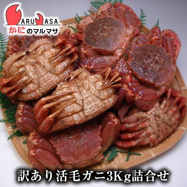訳あり活毛がに 3kg仕かける またの日便相応う 北海道産 毛がに 毛蟹 毛ガニ かに 蟹 蟹 道産品 厳選原料品 差し上げ物 差し上げ物 お中元 差し上げ物
