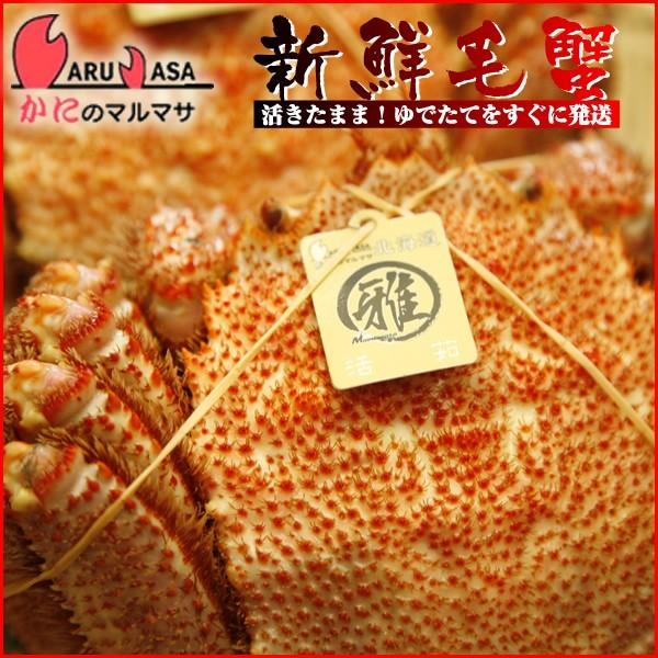 訳あり活毛がに 3kg仕かける またの日便相応う 北海道産 毛がに 毛蟹 毛ガニ かに 蟹 蟹 道産品 厳選原料品 差し上げ物 差し上げ物 お中元 差し上げ物