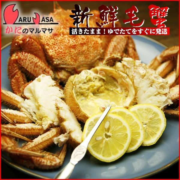 訳あり活毛がに 3kg仕かける またの日便相応う 北海道産 毛がに 毛蟹 毛ガニ かに 蟹 蟹 道産品 厳選原料品 差し上げ物 差し上げ物 お中元 差し上げ物