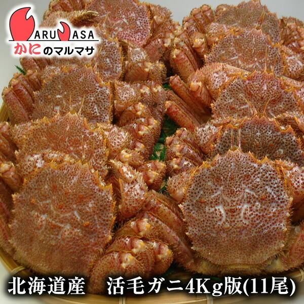 100 Yasui あすつく北海道 活毛がに 北海道産 1 魚介類 海産物 Nettko Com Au