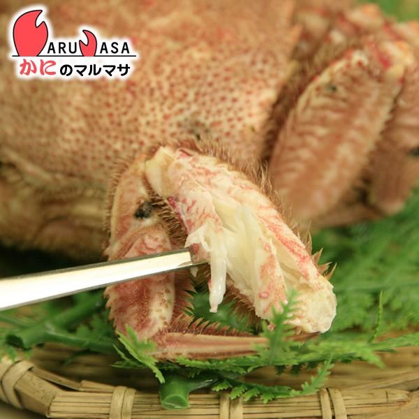 カニフォーク かに料理専門店 料亭 プロ御用達 毛がに タラバガニ 花咲