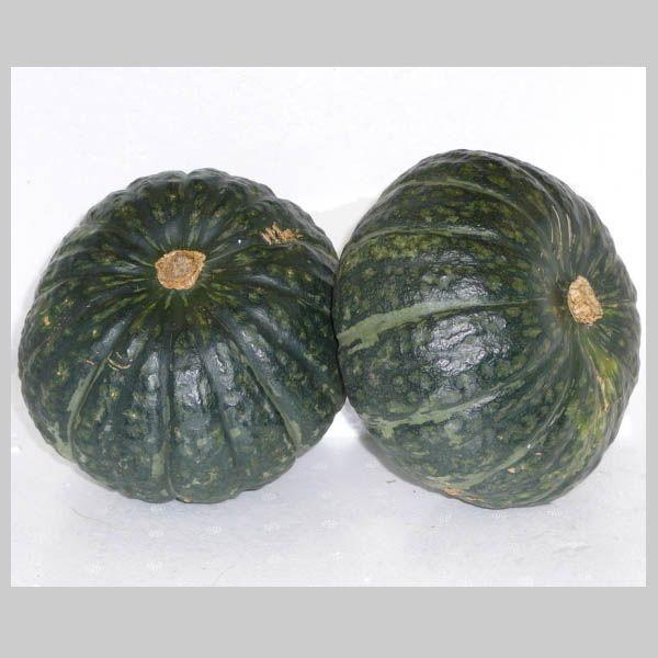南瓜 かぼちゃ カボチャ 1箱10kg : 食品のネットスーパー・さんきん