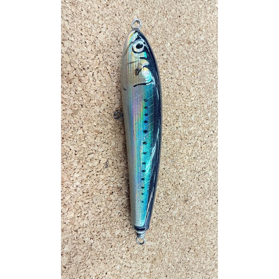 【新品未使用】カーペンター ブルーフィッシュ60 カーペンター ブルーフィッシュ 60−170 お見逃しなく！〇