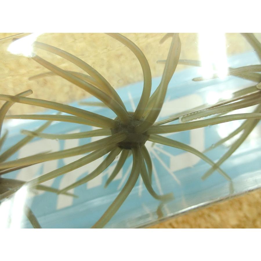 ハイドアップ 旧コイケ 3個セット お見逃しなく！〇USED〇〇