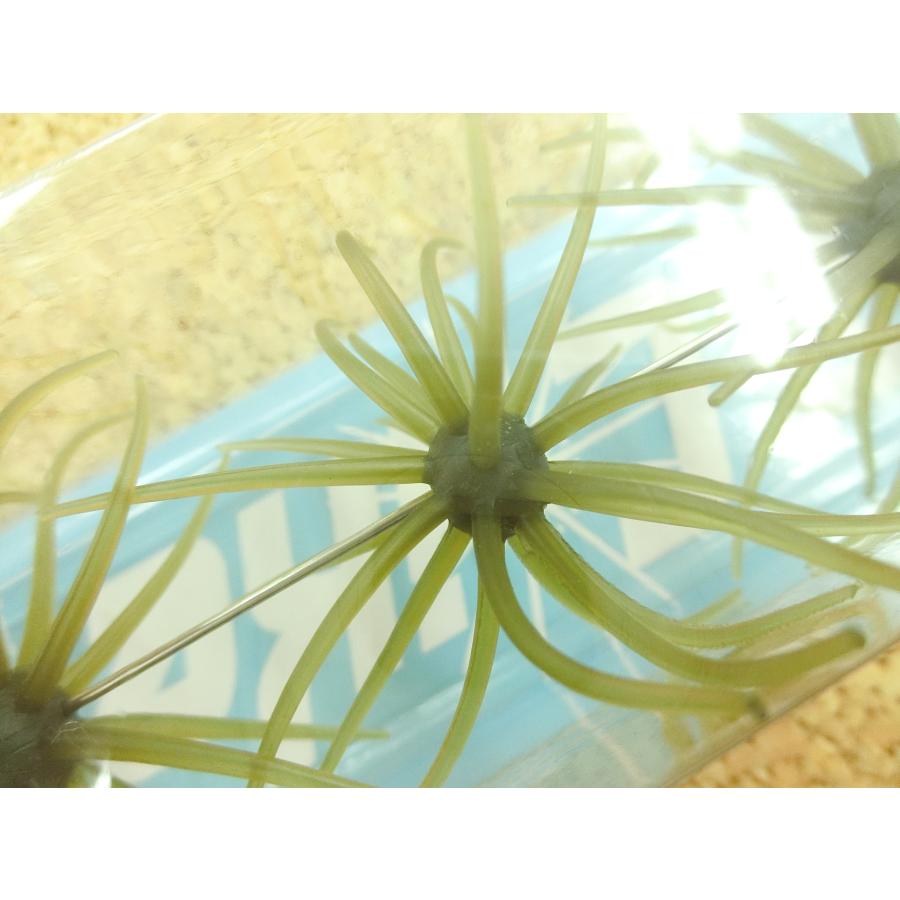 ハイドアップ 旧コイケ 3個セット お見逃しなく！〇USED〇〇