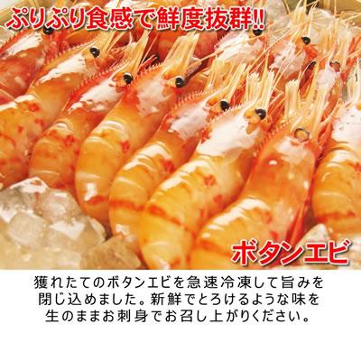 ボタンエビ ホタテ お刺身 食べ比べセット えび 海老 ほたて 帆立