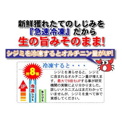 しじみ 1kg しじみ 味噌汁 ギフト 北海道 網走湖産 砂抜き済 しじみ汁 お取り寄せ グルメ オホーツク 網走 プレゼント 誕生日祝 御祝 御礼 内祝｜kanikoubou｜08