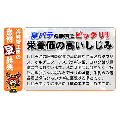 しじみ 2kg しじみ 味噌汁 ギフト 北海道 網走湖産 砂抜き済 しじみ汁 お取り寄せ グルメ ギフト オホーツク 網走 プレゼント 誕生日祝 御祝 御礼 内祝｜kanikoubou｜06