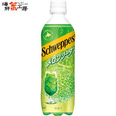 シュウェップス 【北海道限定】シュウェップス メロンソーダ 490PET×24