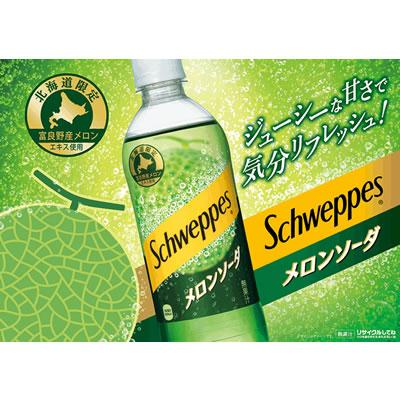 メロンソーダ シュウェップス(Schweppes) メロンソーダ 490mlPET 24本