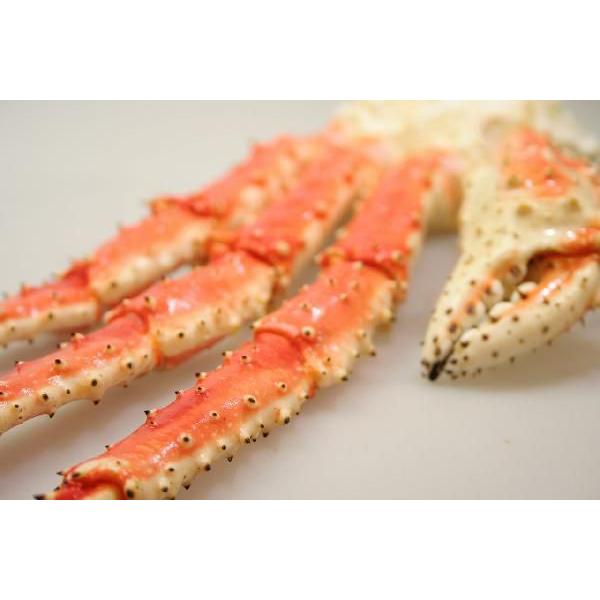 タラバガニ無添加ボイル脚(1.3kg前後)最高品質フルシェイプ完全一本物※足し脚(差し脚)なしでこの重量!|kanimamire|02