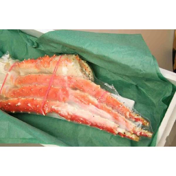 タラバガニ無添加ボイル脚(1.3kg前後)最高品質フルシェイプ完全一本物※足し脚(差し脚)なしでこの重量!|kanimamire|06