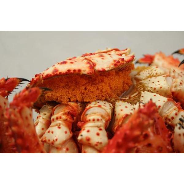 卵 子 付きのメス 花咲ガニ 絶品な外子と内子がたっぷり 訳なし1kg前後 訳なし取寄せカニ通販のかにまみれ 通販 Yahoo ショッピング