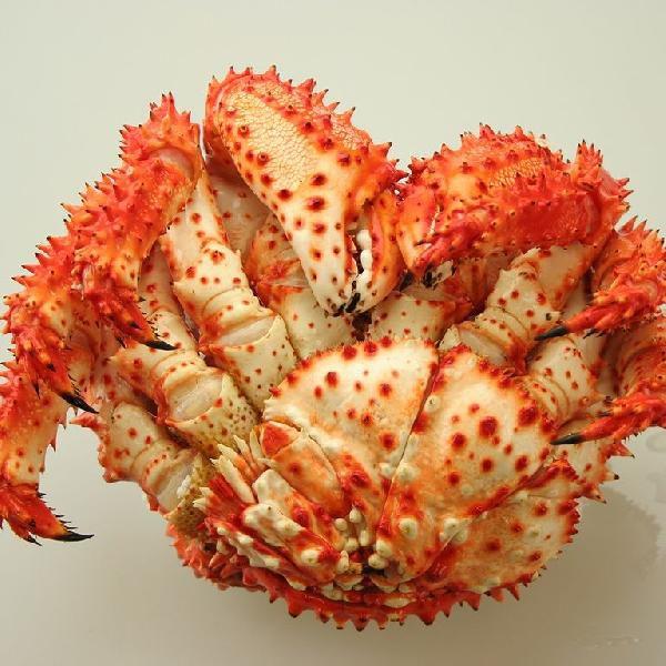 卵 子 付きのメス 花咲ガニ 絶品な外子と内子がたっぷり 訳なし1kg前後 訳なし取寄せカニ通販のかにまみれ 通販 Yahoo ショッピング