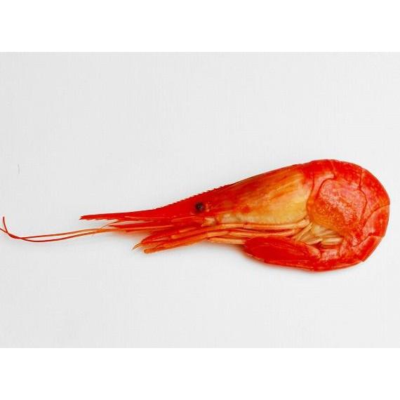 無添加 ボイル北海シマエビ 大 お徳用 1kg 40 50尾前後 ビールおつまみに最適 浜茹でぷりっぷりのオホーツク海名物 卵やエビ味噌も絶品 訳なし取寄せカニ通販のかにまみれ 通販 Yahoo ショッピング